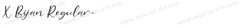 X Bijan Regular字体转换